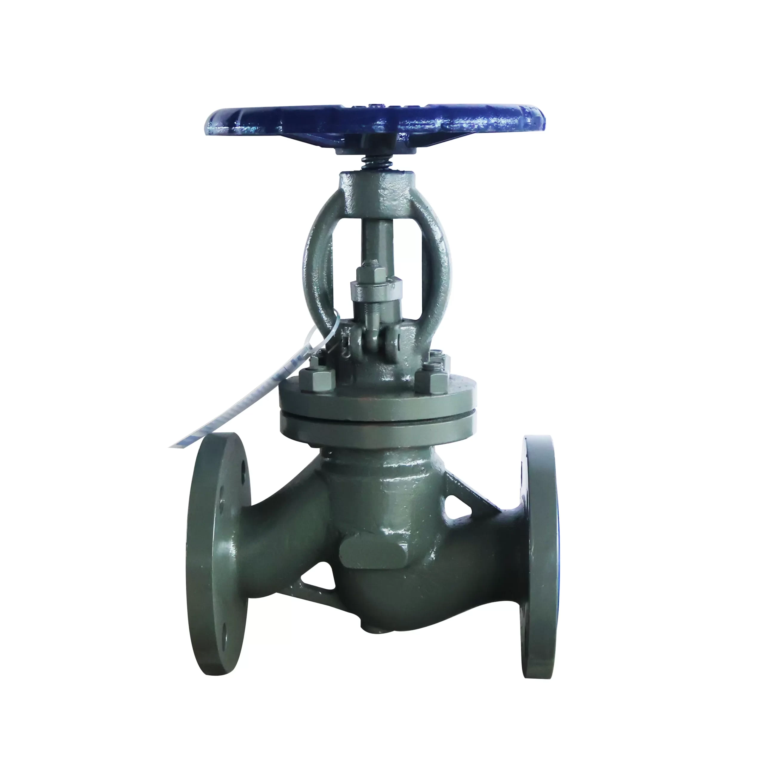 Manual Cast Steel Globe Valve3