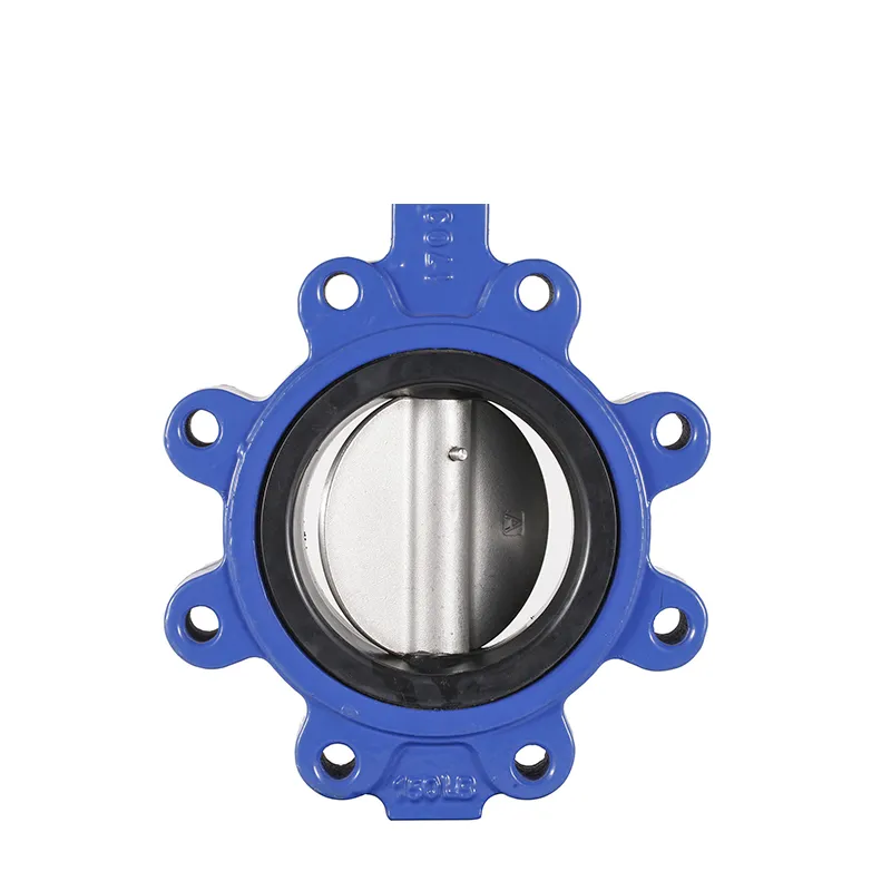 Manual Cast Iron Lug Butterfly Valve2
