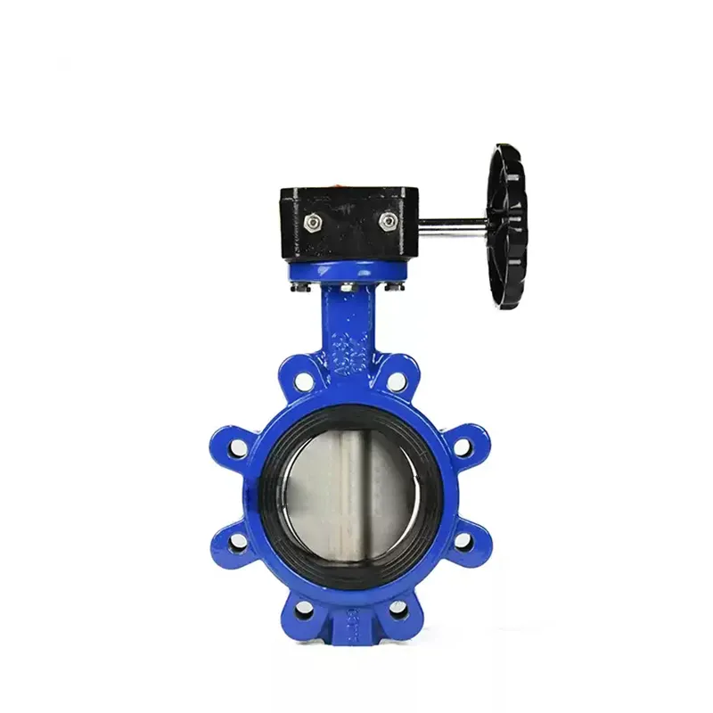 Manual Cast Iron Lug Butterfly Valve3