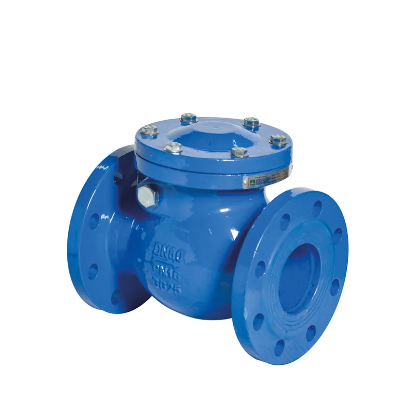 Swing type cast steel flange check valve 4