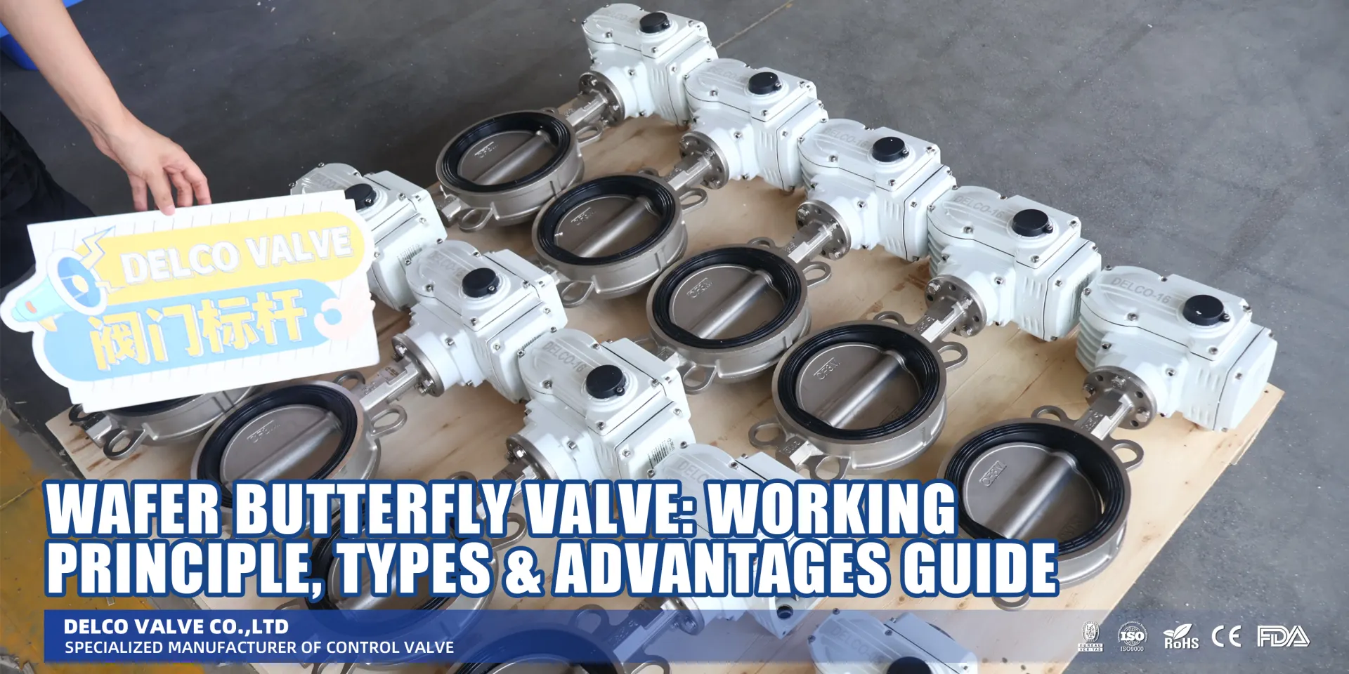 Wafer Butterfly Valve: Working Principle, Types & Advantages Guide