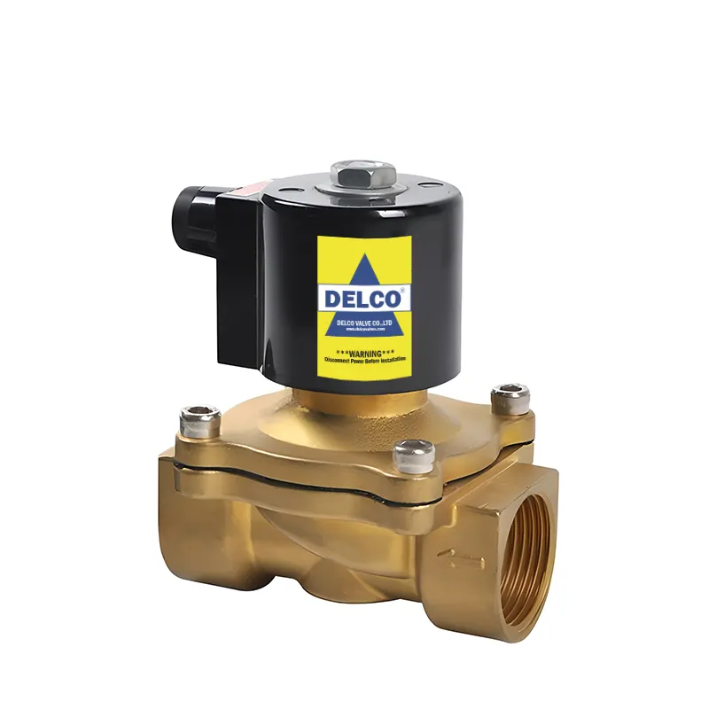 Waterproof Fountain Solenoid Valve 1