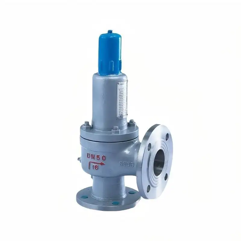 Enclosed Spring Safety Valve